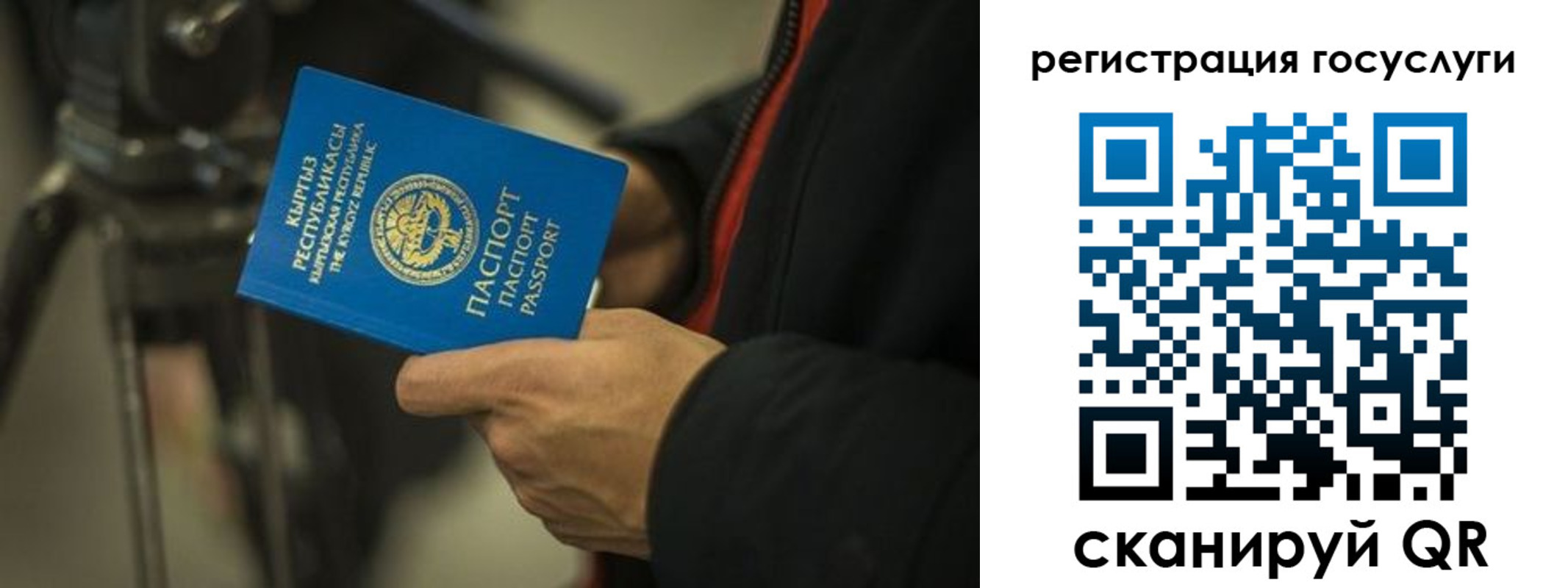 регистрация в Белой Холунице